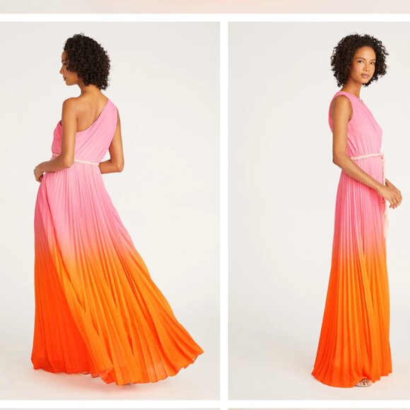 AMUR Garrett One-Shoulder Belted Pleated Chiffon Gown - S - Picture 3 of 7